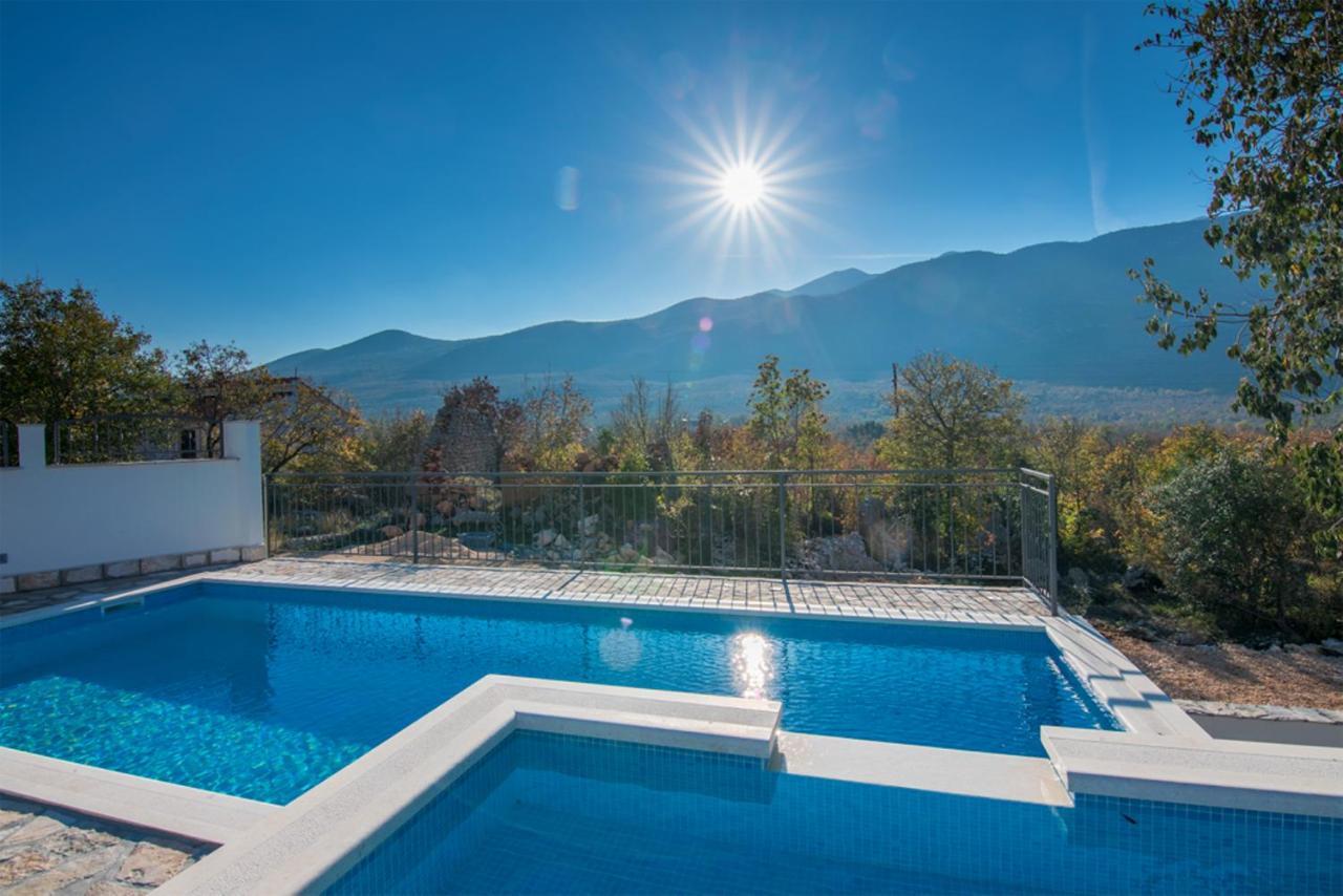 Вилла Dvori Stipanovi With Heated Pool And Jacuzzi Donje Rascane Экстерьер фото